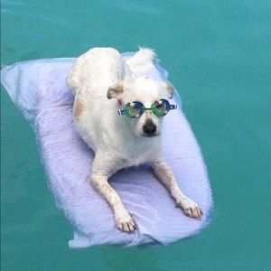 Meet your Posher, Jodi